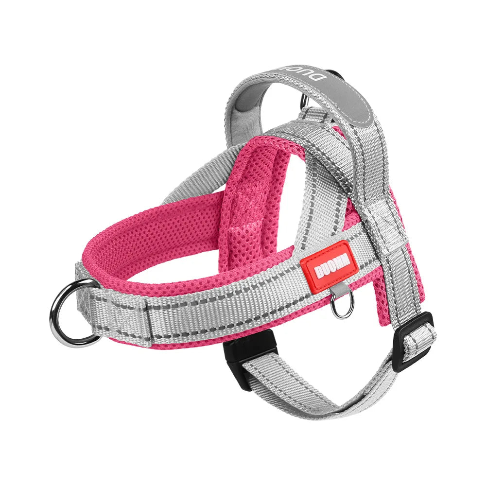 Harnais à la Mode Style Selle pour Chien - Toutes Tailles