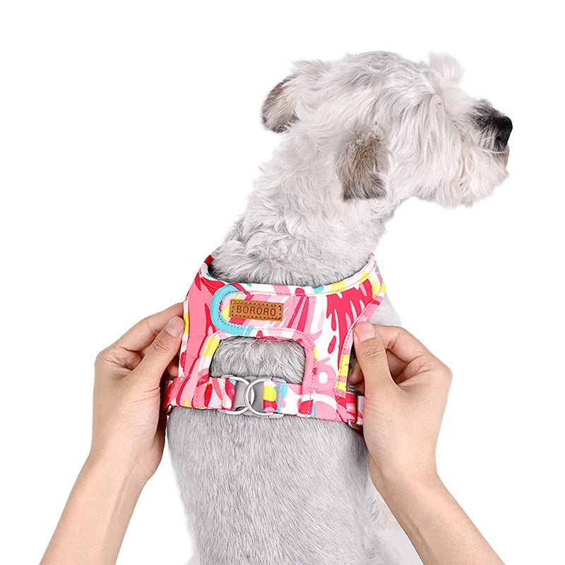 Laisse et Collier Réglables en Maille Polyester - Chien et Chat