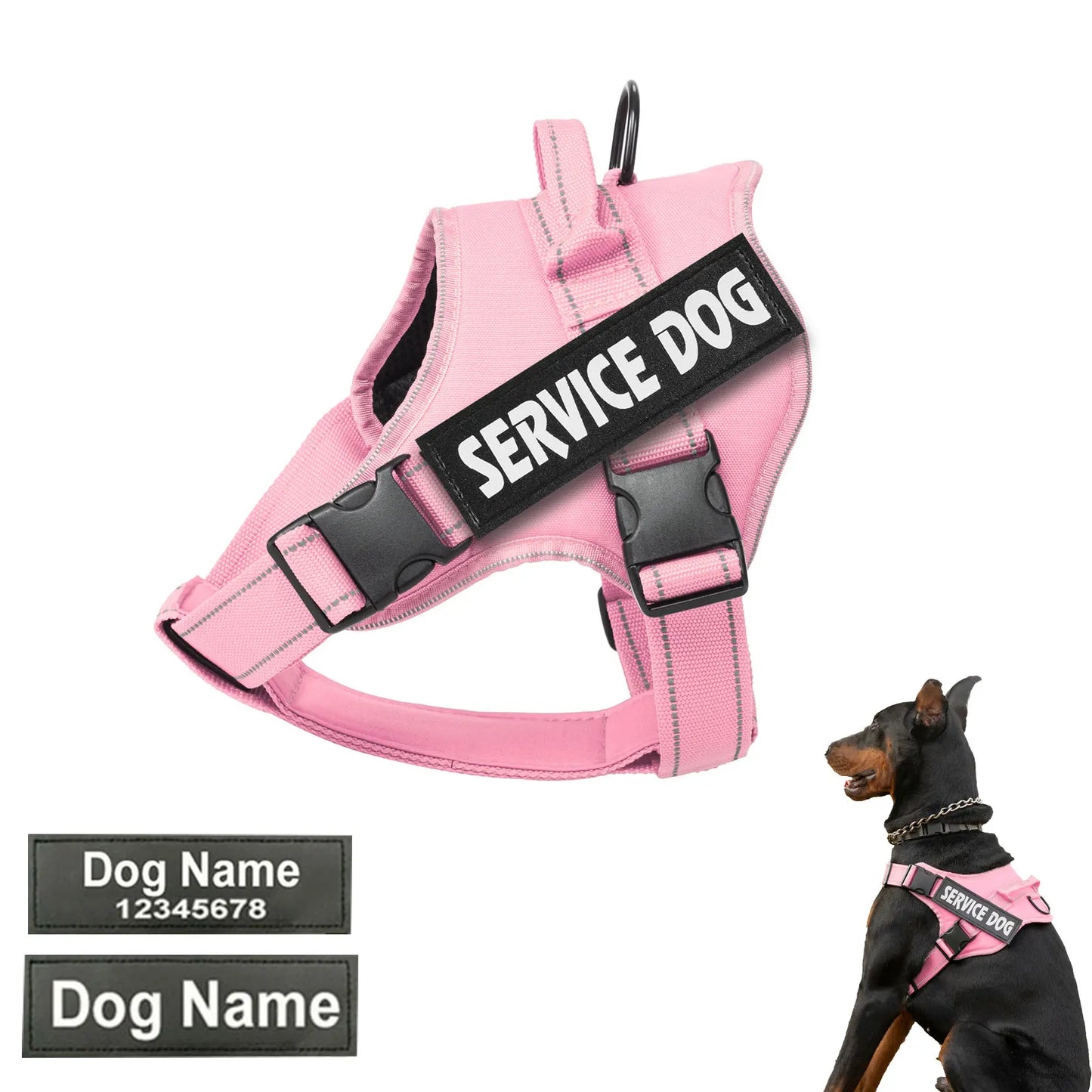 Harnais Personnalisé pour Chien - Étiquette Nom, Respirant