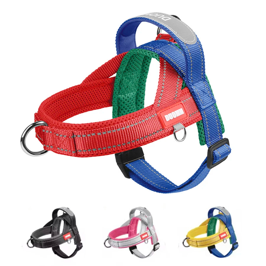 Harnais à la Mode Style Selle pour Chien - Toutes Tailles