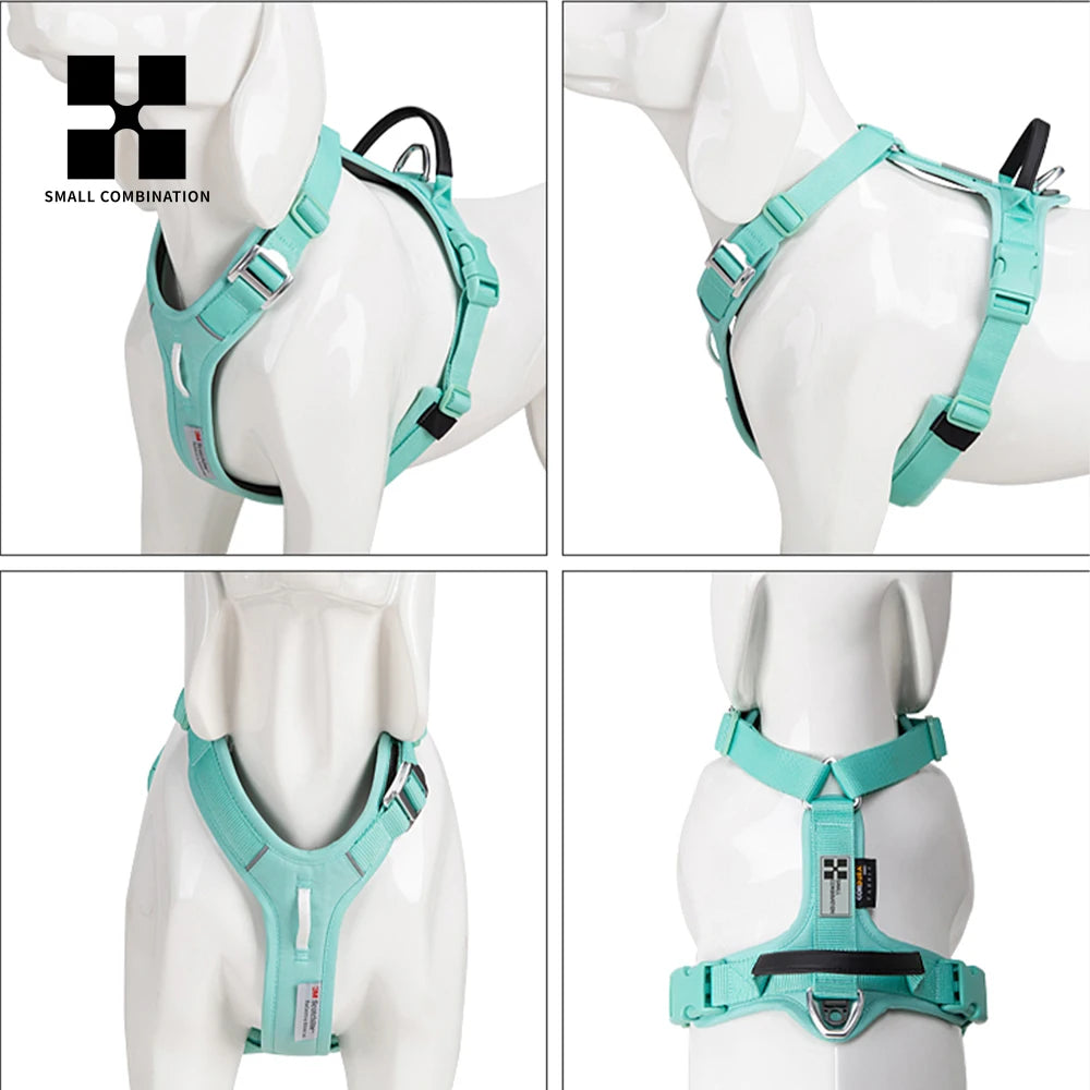 Ensemble Harnais et Laisse Anti-Traction pour Grand Chien