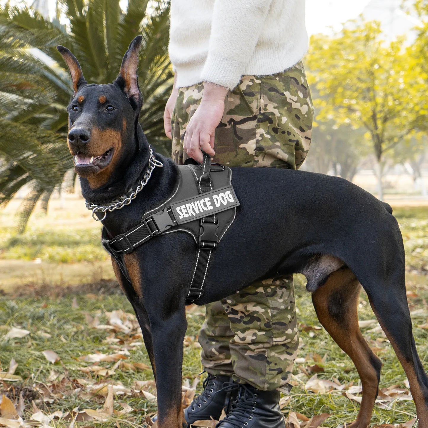 Harnais Personnalisé pour Chien - Étiquette Nom, Respirant
