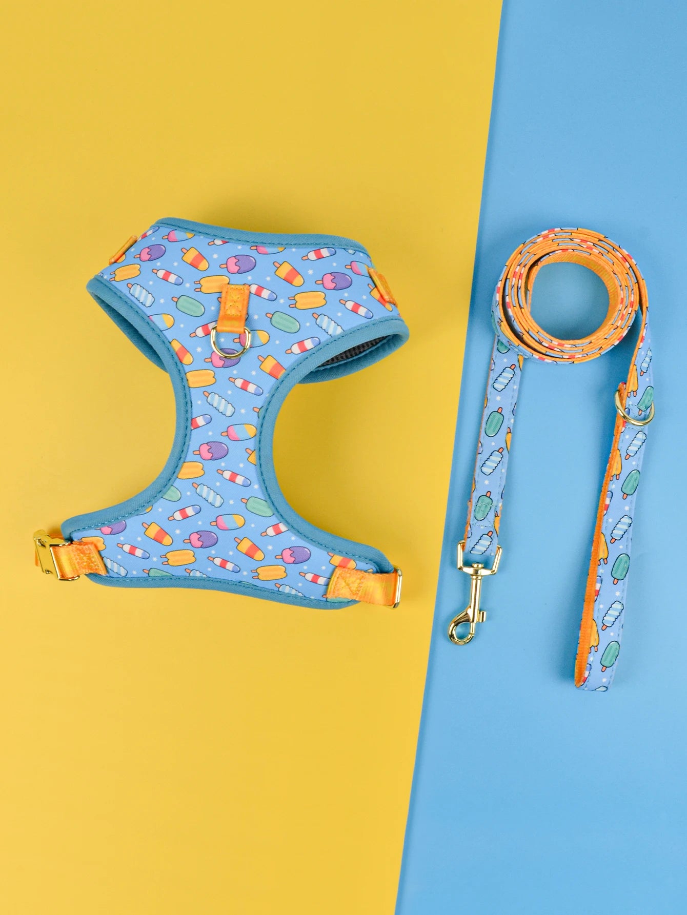 Harnais de Luxe Cadeau pour Chien - Design Mignon, avec Laisse