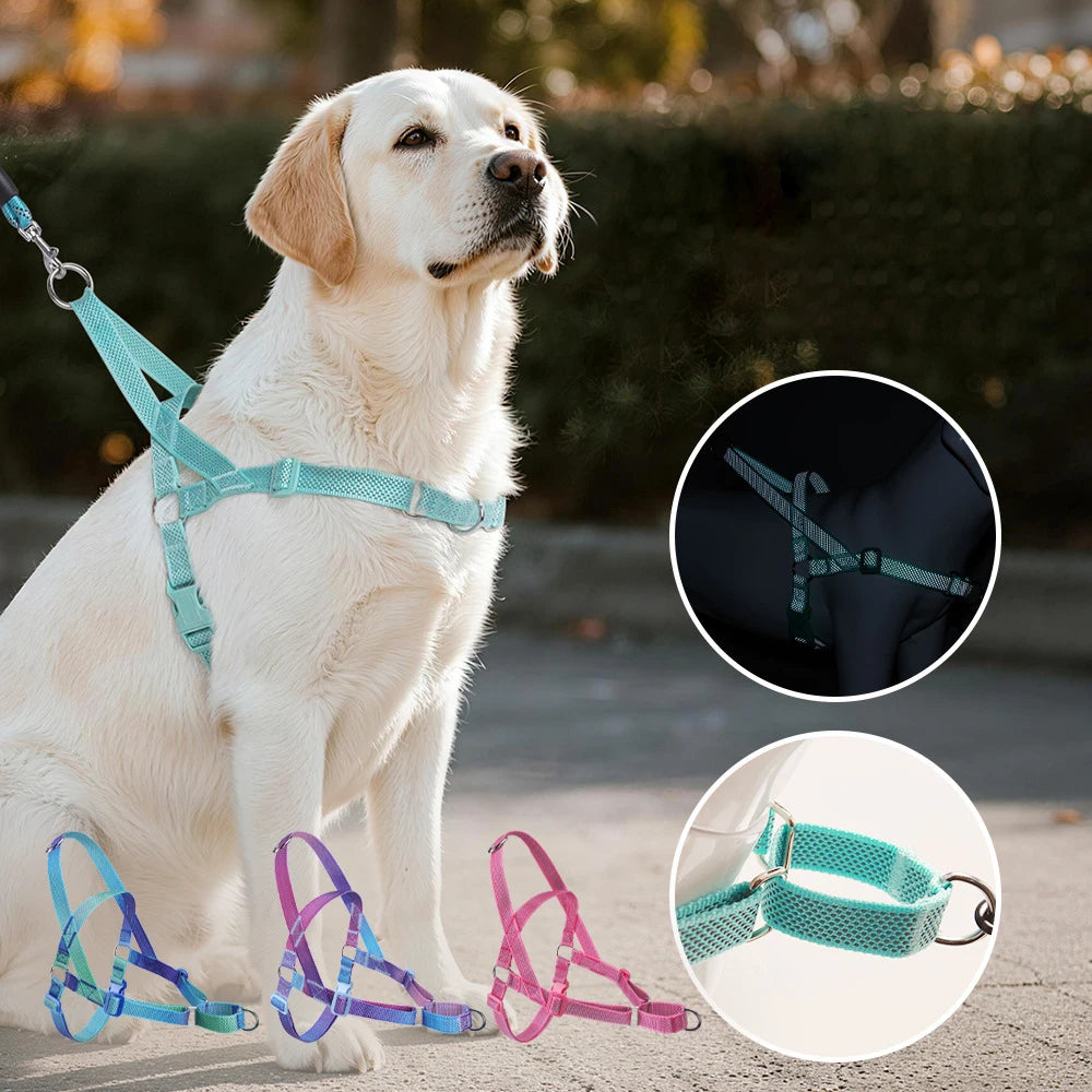 Harnais Coloré Anti-Traction pour Grand Chien - Poignée