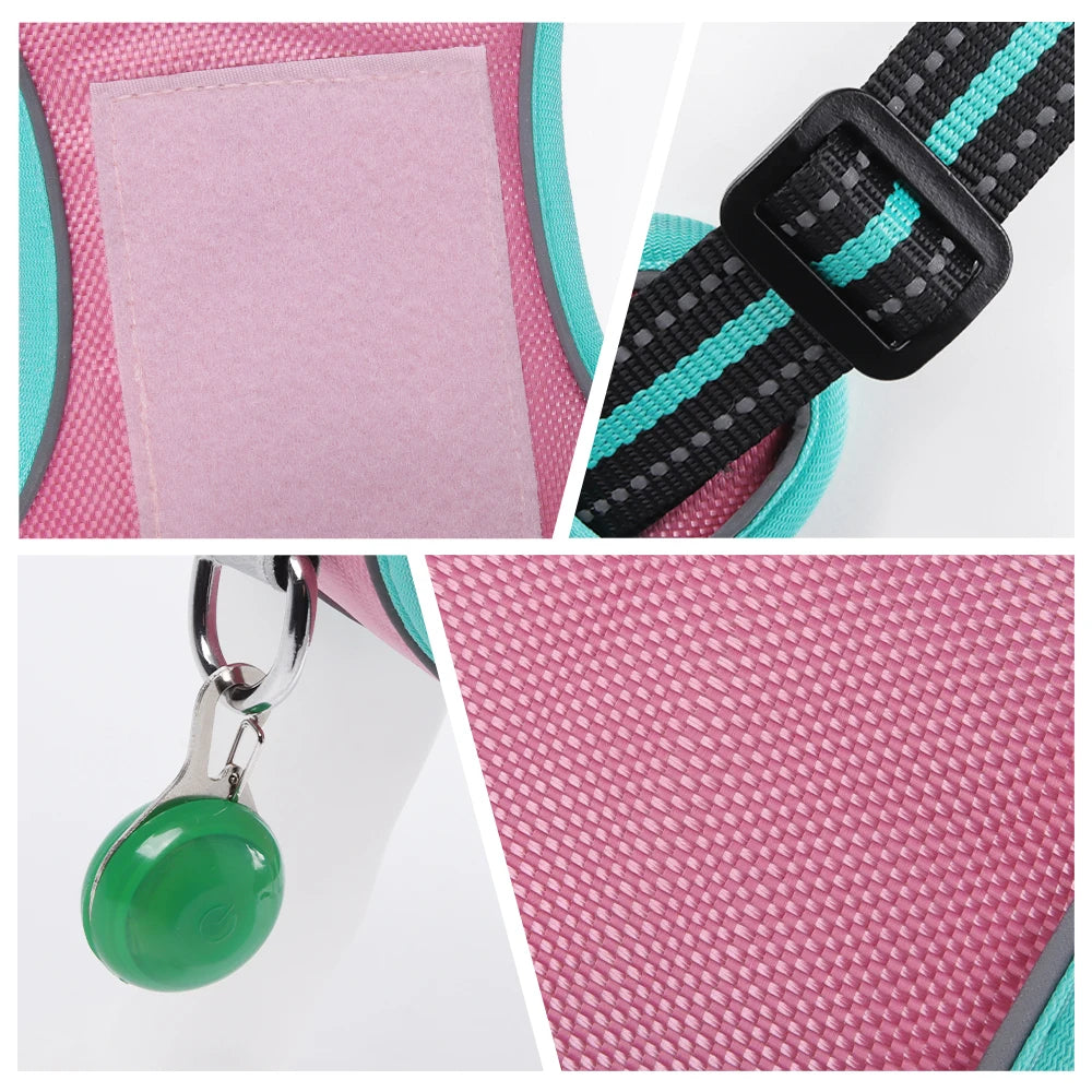 Harnais Oxford Anti-Évasion Réfléchissant pour Grand Chien - avec Collier