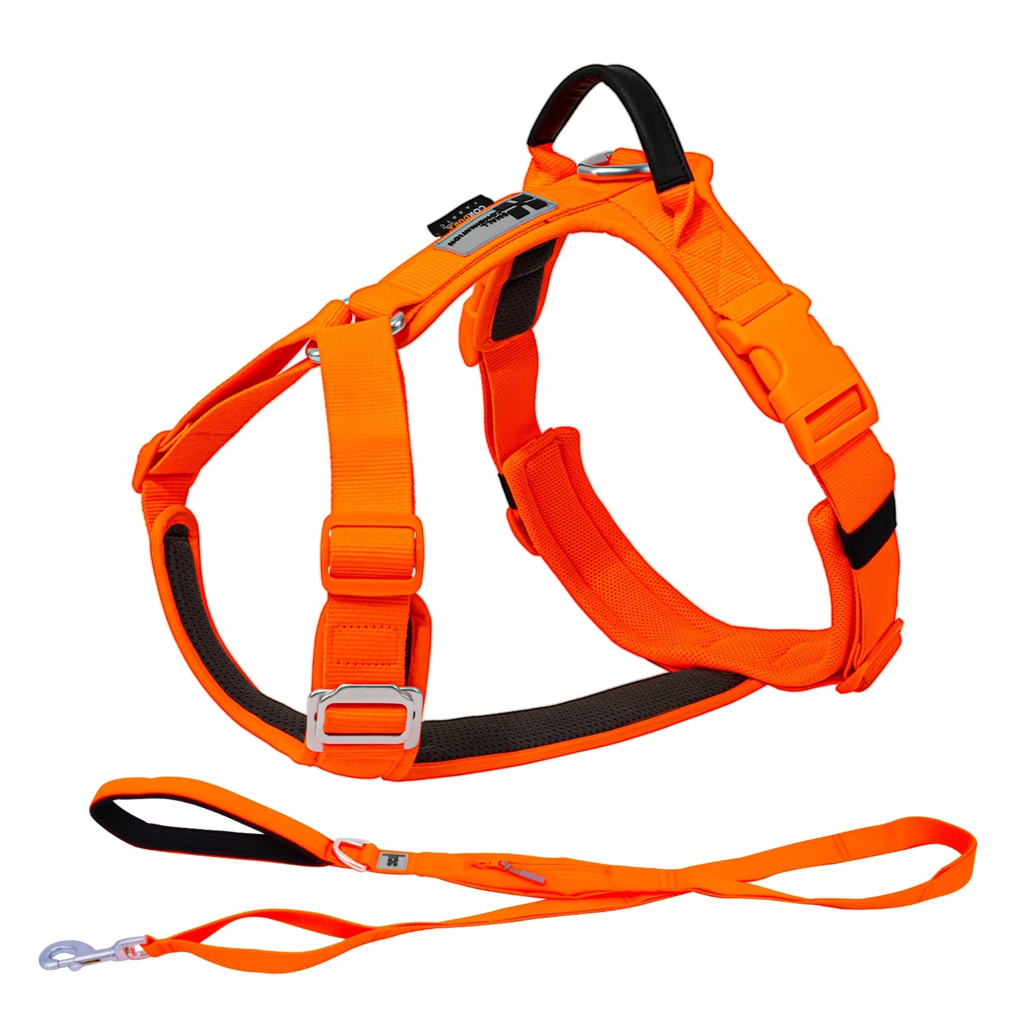 Ensemble Harnais et Laisse Anti-Traction pour Grand Chien