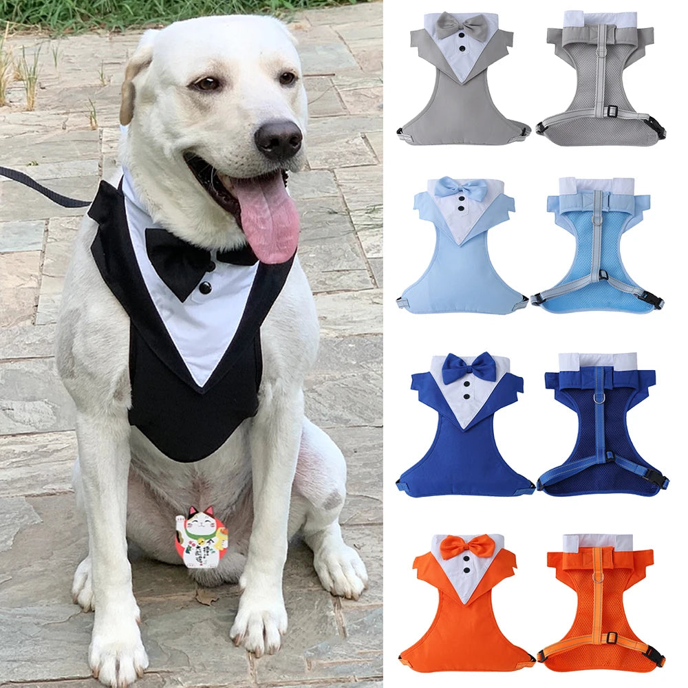 Harnais avec Nœud Papillon pour Petit et Moyen Chien - Anti-Traction