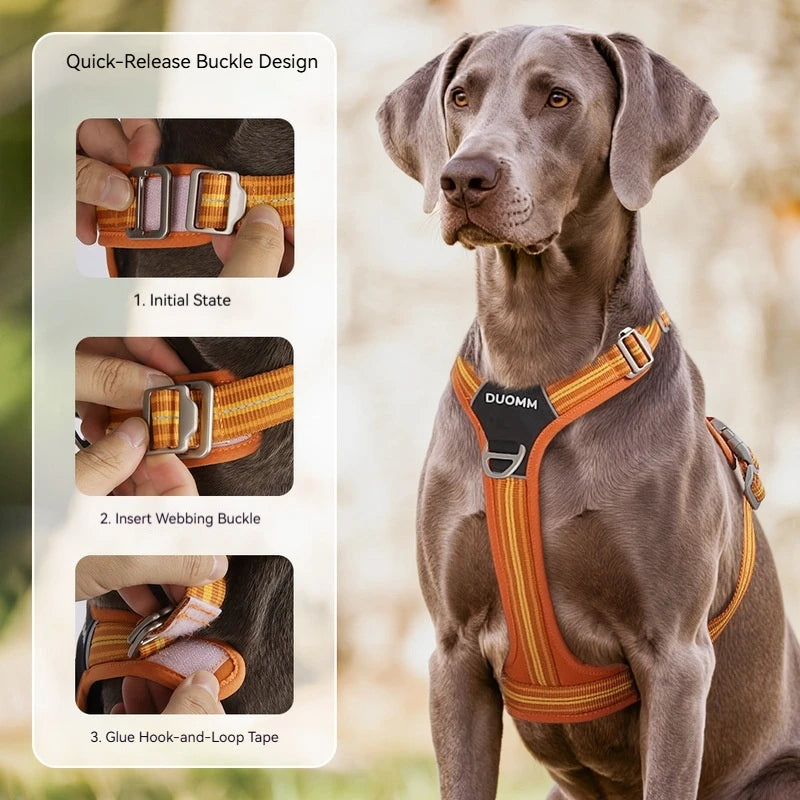 Harnais Anti-Traction Souple et Résistant pour Chien