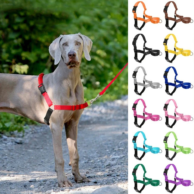 Harnais Anti-Rupture en Nylon Solide pour Chien Moyen/Grand - Husky