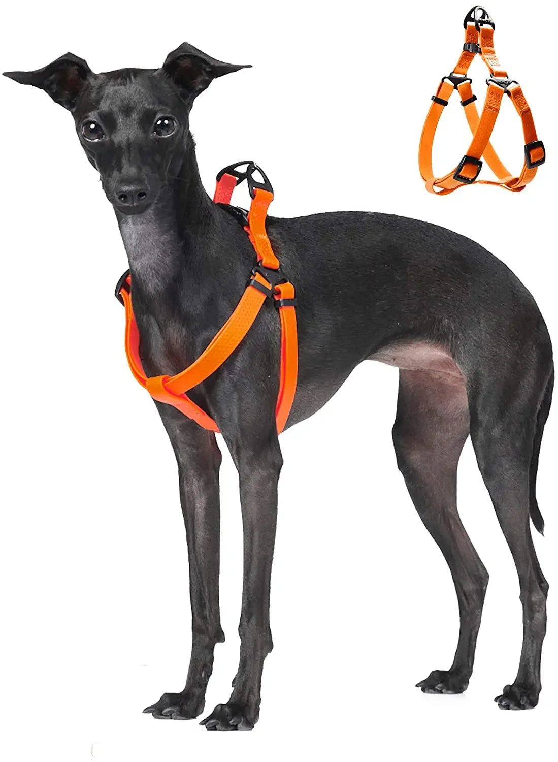 Harnais Réglable Étanche pour Chien - Sans Traction, Toutes Tailles