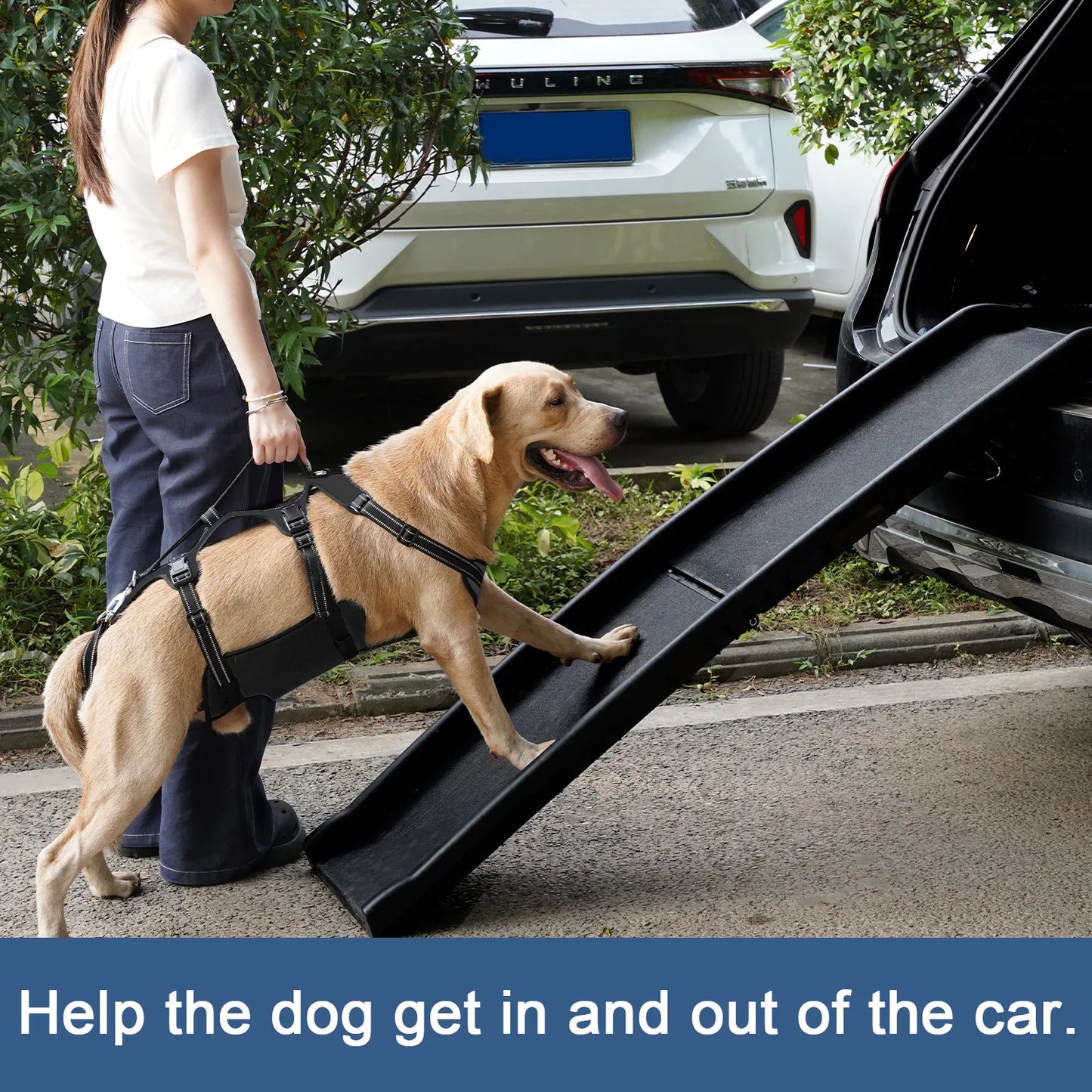 Harnais de Soutien Dorsal Réglable pour Chien - Post-Chirurgical