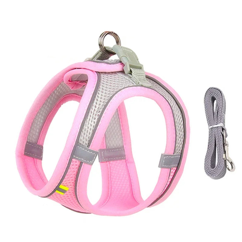 Ensemble Accessoires Réglables pour Chiots et Chats - Bouledogue, Chihuahua