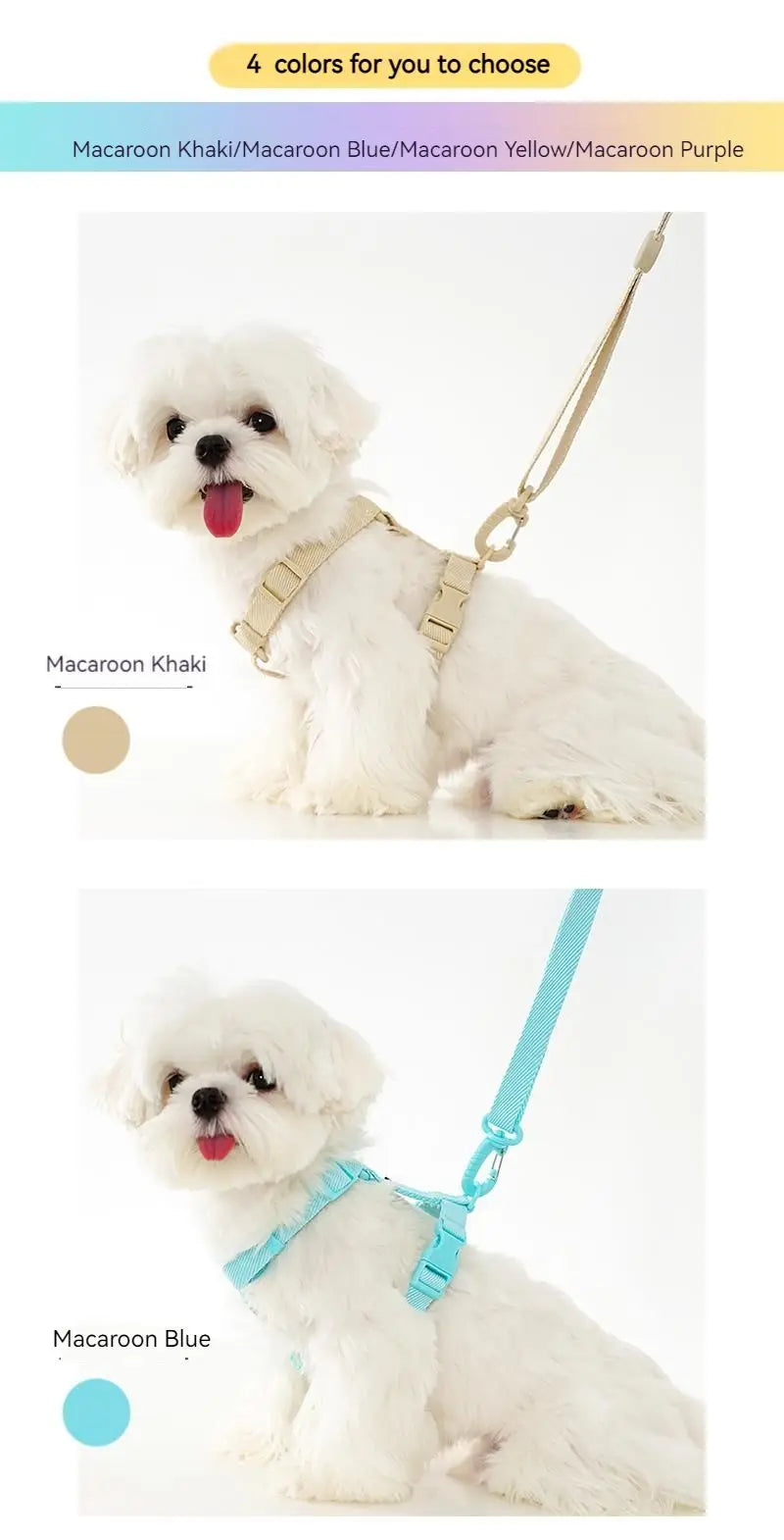 Ensemble Harnais et Laisse Coloré pour Petit Chien - Réfléchissant