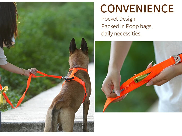 Ensemble Harnais et Laisse Anti-Traction pour Grand Chien