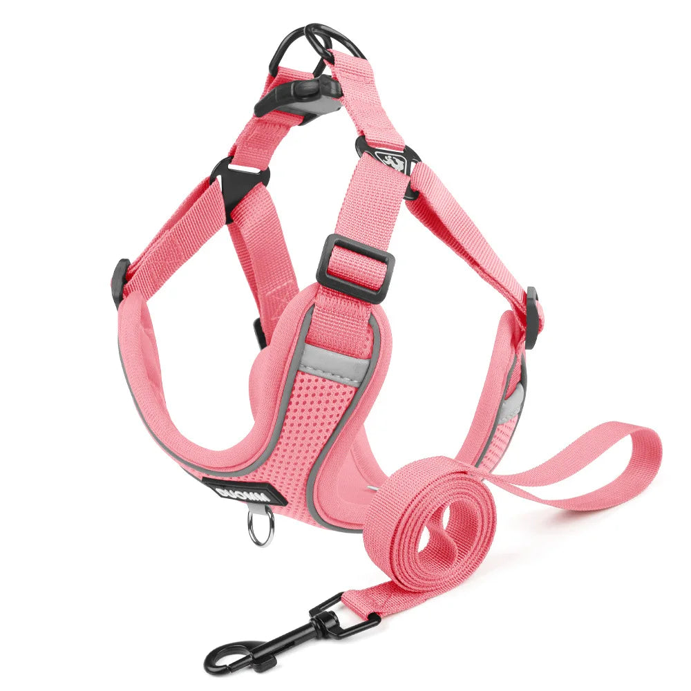 Ensemble Harnais et Laisse Classique et Doux pour Chien - Toutes Races