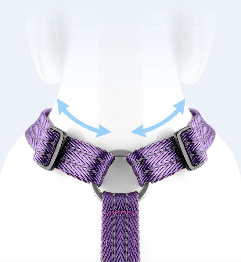 Harnais Anti-Évasion Type H pour Chien - Lavable, Réglable