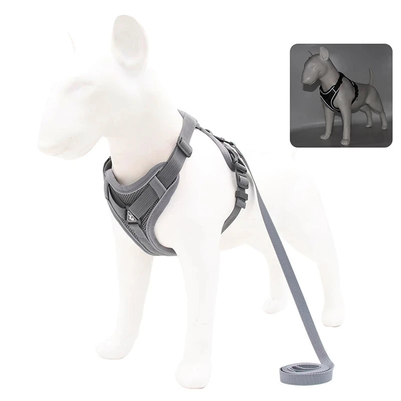 Ensemble Sans Côtes en Maille pour Petit Chien et Chat - Bouledogue Français