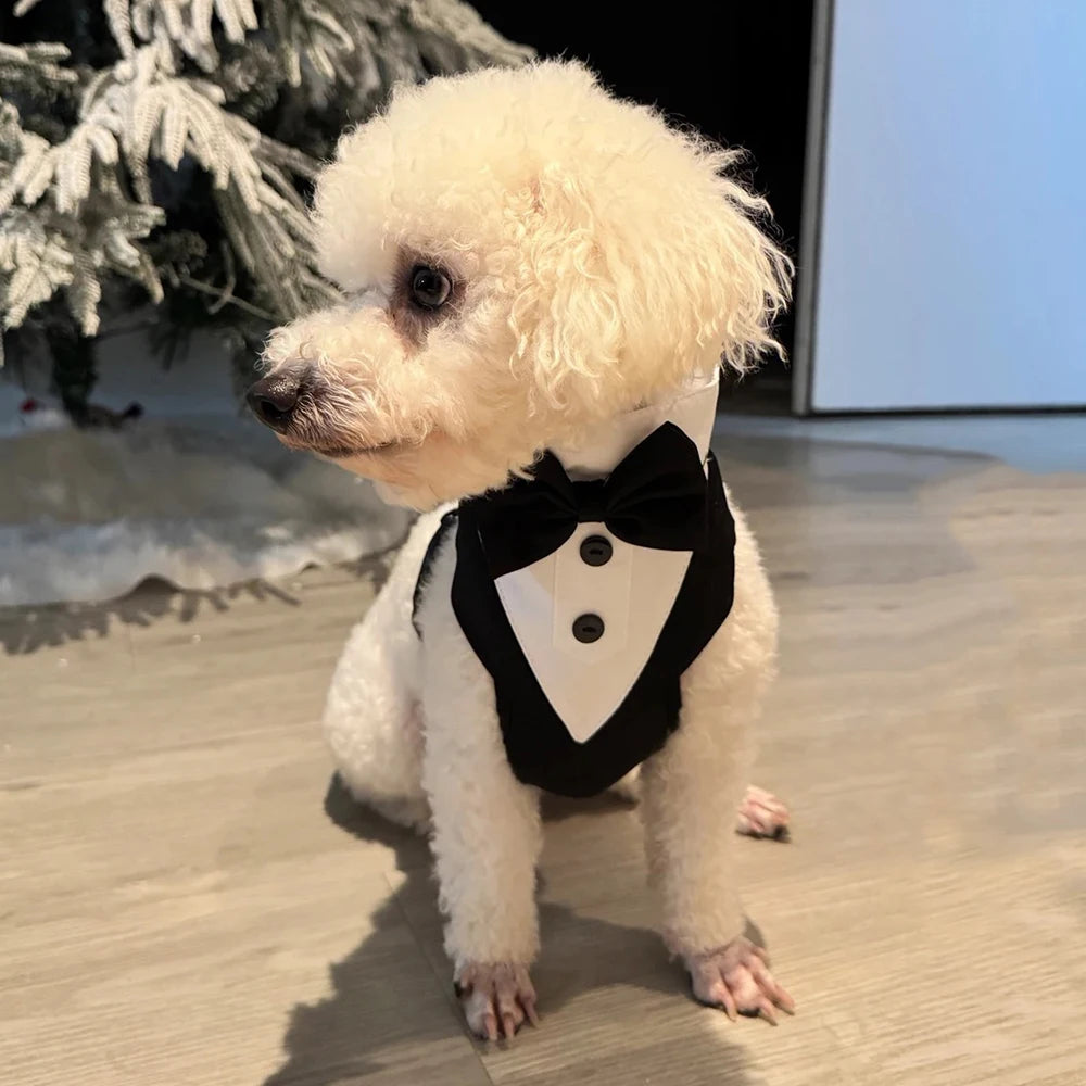 Harnais avec Nœud Papillon pour Petit et Moyen Chien - Anti-Traction