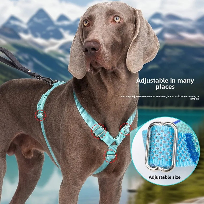 Harnais Anti-Traction Nid d'Abeille pour Chien - Respirant et Sécurisé