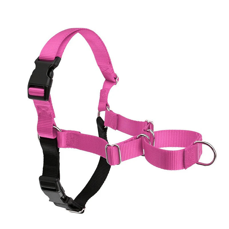 Harnais Anti-Rupture en Nylon Solide pour Chien Moyen/Grand - Husky