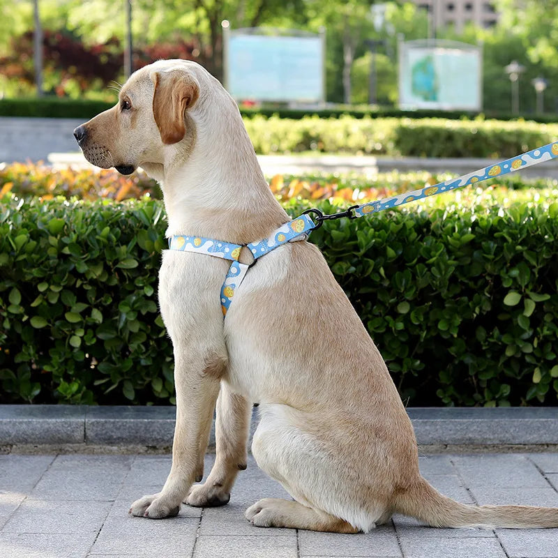 Ensemble Harnais, Laisse et Collier Trois Pièces pour Chien