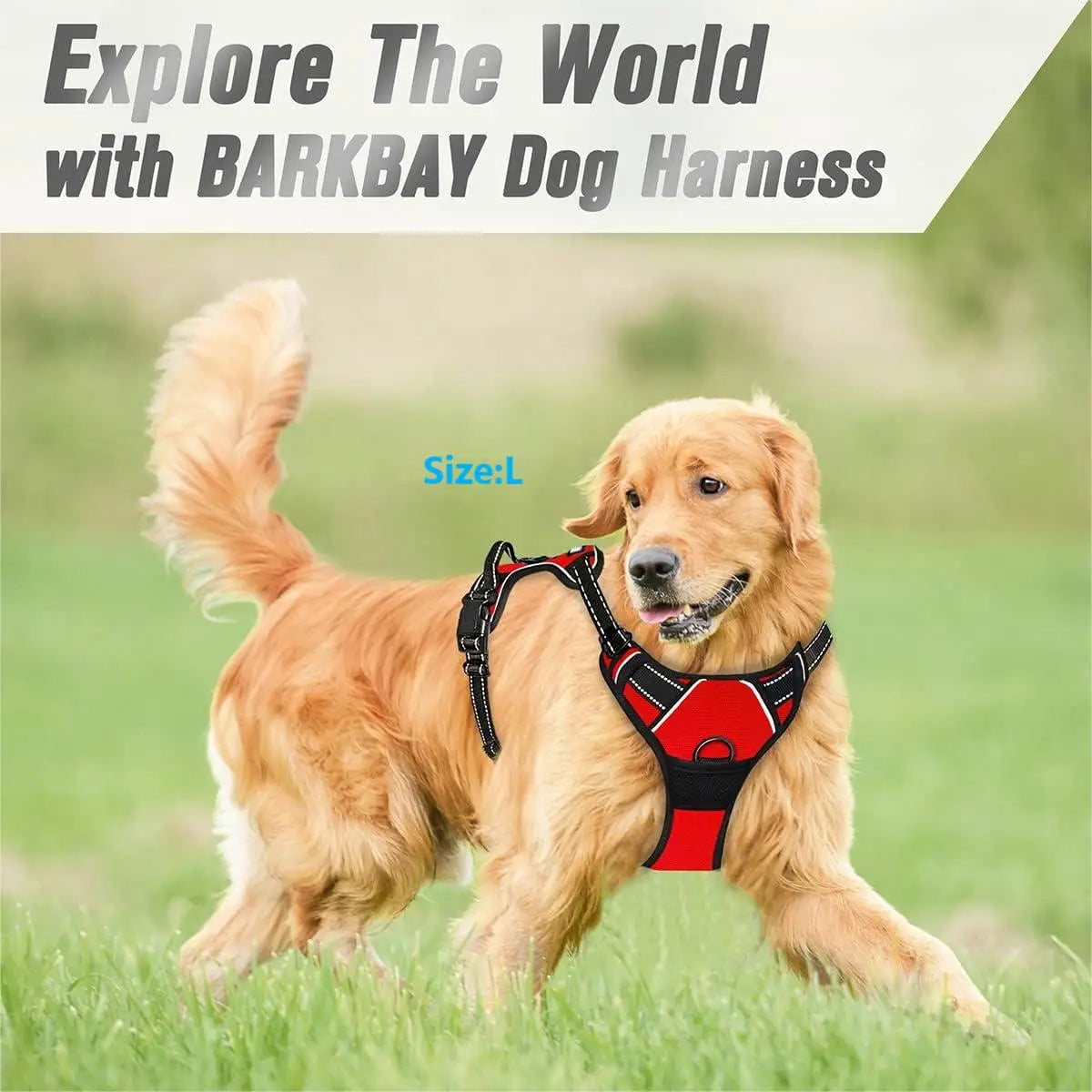 Harnais Anti-Traction Clip Frontal pour Grand Chien - Poignée
