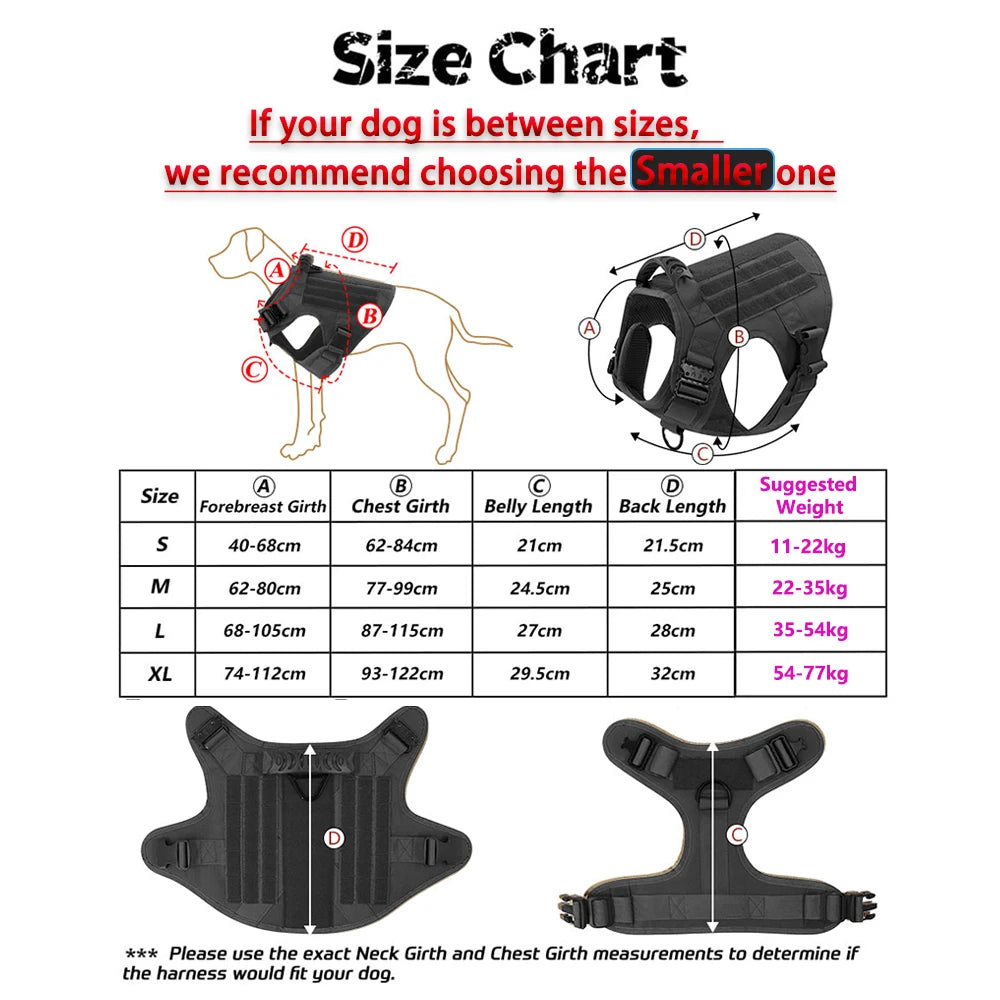 Harnais MOLLE avec Collier et Laisse pour Berger Allemand