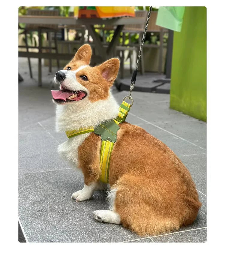 Harnais Effet Cuir Rembourré pour Chien Moyen/Grand - Dégagement Rapide