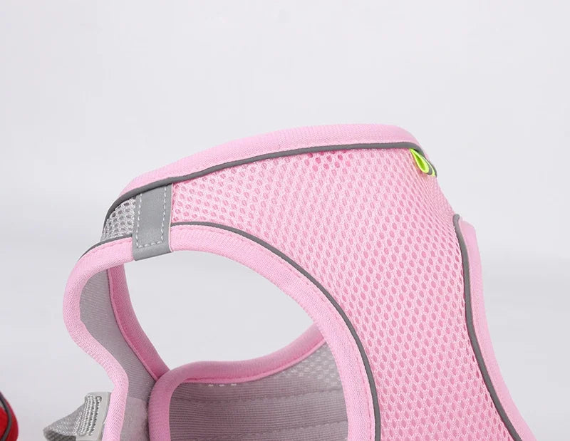 Ensemble Accessoires Réglables pour Chiots et Chats - Bouledogue, Chihuahua