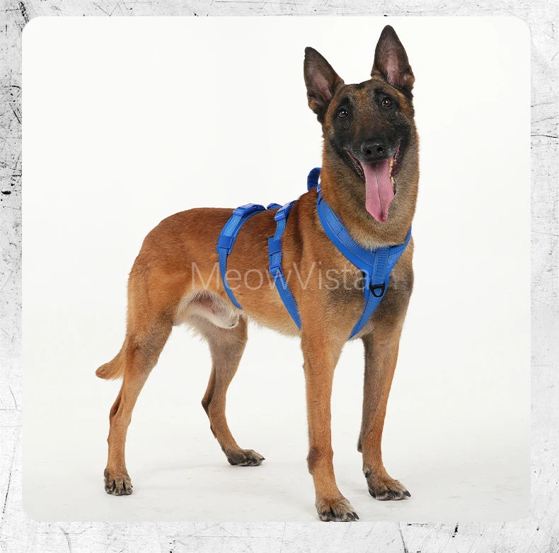 Harnais Robuste Rembourré Anti-Traction pour Chien Moyen/Grand