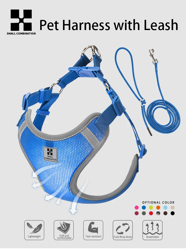 Ensemble Harnais et Laisse Réglable pour Chat et Petit Chien