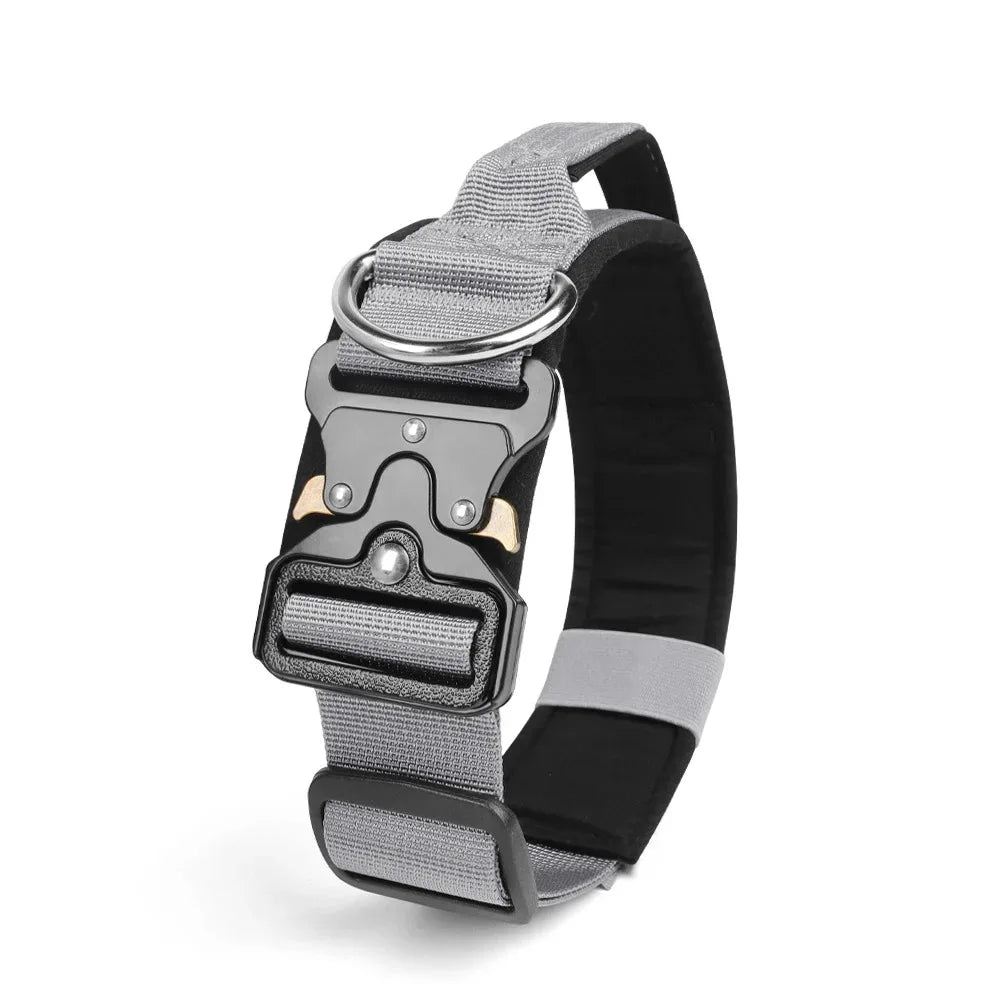 Ensemble Harnais et Accessoires Flexibles pour Bouledogue Français