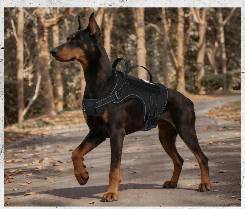 Harnais Tactique 3D Anti-Traction pour Chien Moyen/Grand - Réfléchissant