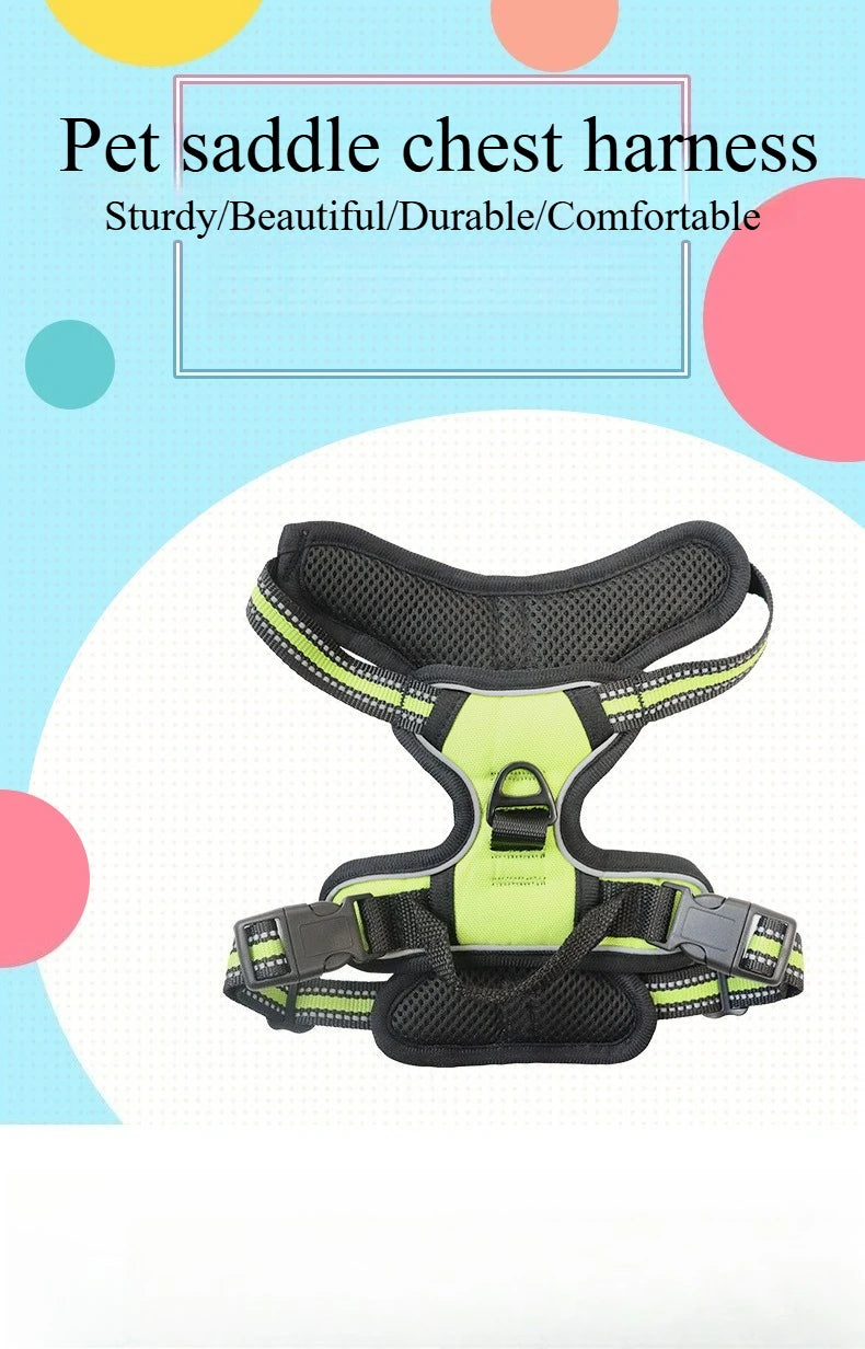Ensemble Collier, Harnais et Laisse Réfléchissants pour Grand Chien