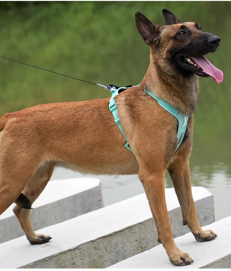 Harnais Anti-Traction en Nylon Réfléchissant pour Chien - Course