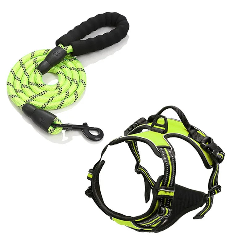 Ensemble Collier, Harnais et Laisse Réfléchissants pour Grand Chien