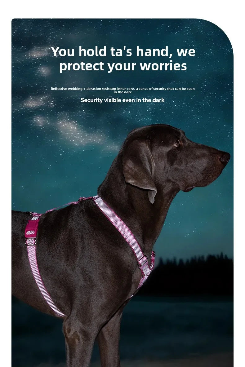 Harnais Anti-Traction Nid d'Abeille pour Chien - Respirant et Sécurisé