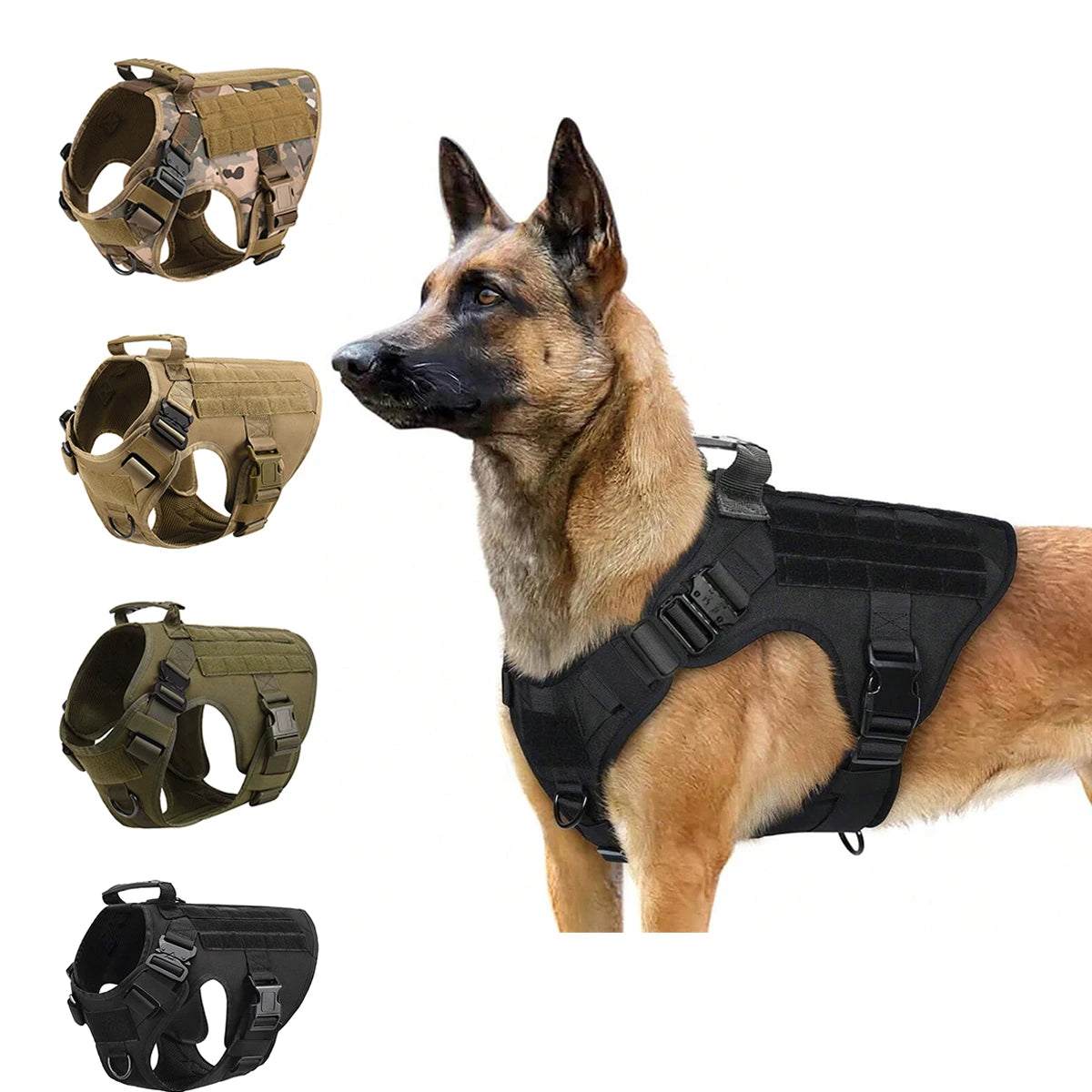 Harnais d'Entraînement Militaire pour Berger Allemand et Malinois