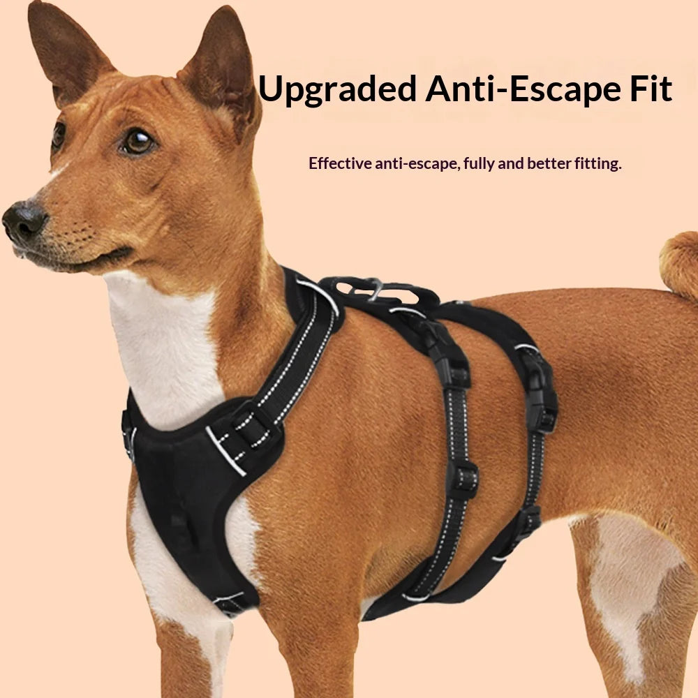 Harnais Anti-Évasion Grand Chien - Laisse Oxford Incluse