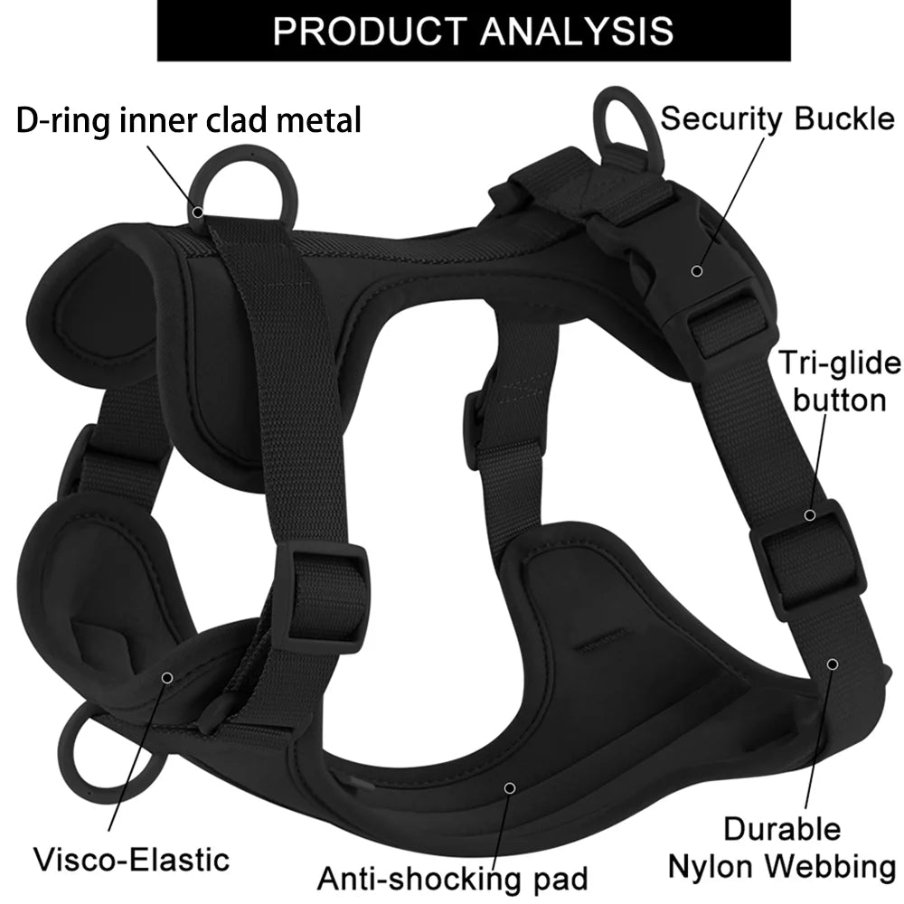 Harnais et Laisse Double en PVC pour Chien - Confortable, Respirant