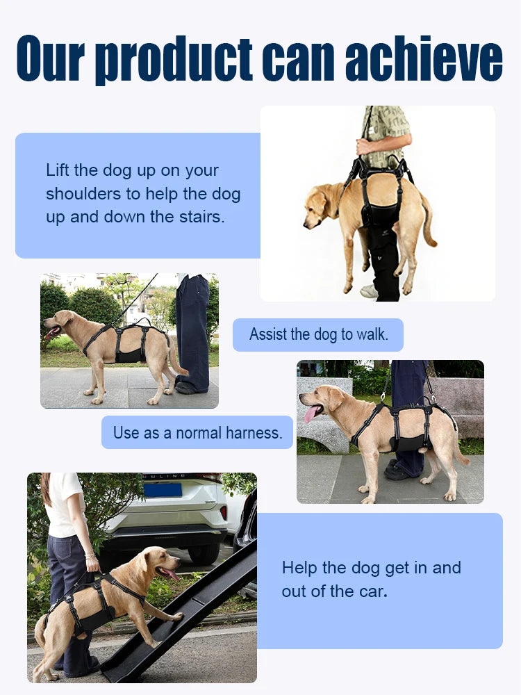 Harnais de Soutien Dorsal Réglable pour Chien - Post-Chirurgical