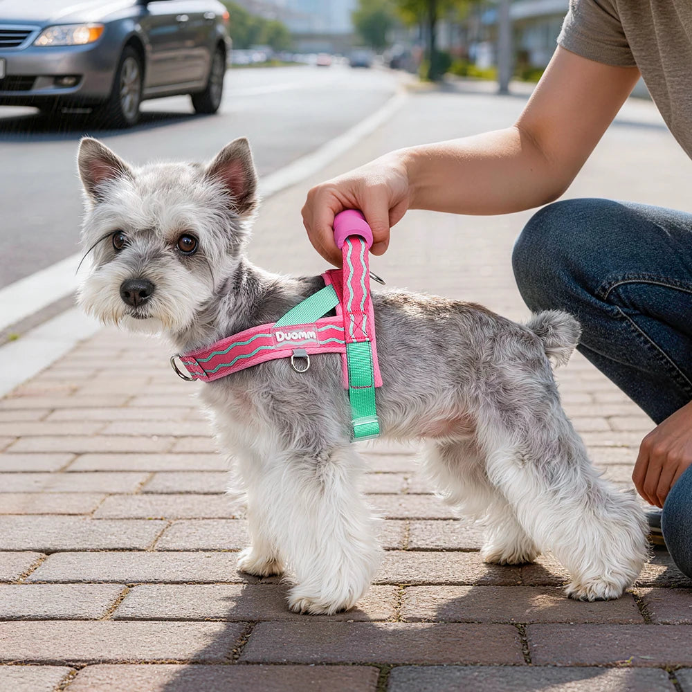 Harnais à Enfiler Rembourré pour Petit Chien - Poignée Douce