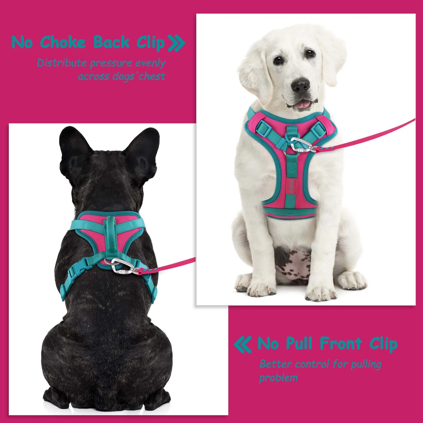 Harnais Personnalisable Anti-Traction pour Chien - Contrasté