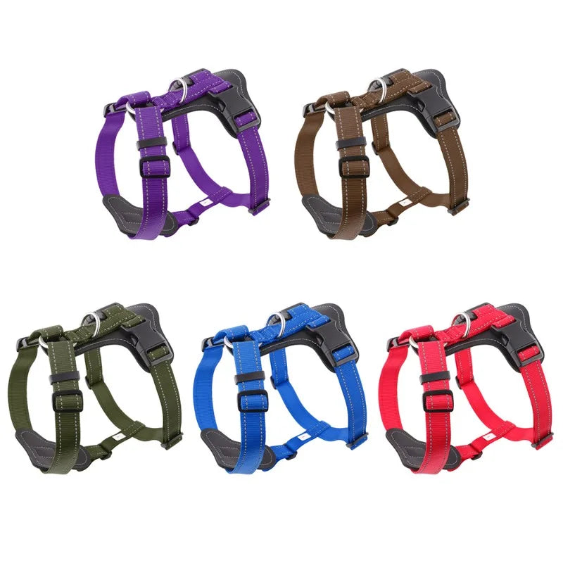 Harnais en Cuir pour Chien - Style Gilet, avec Collier et Laisse