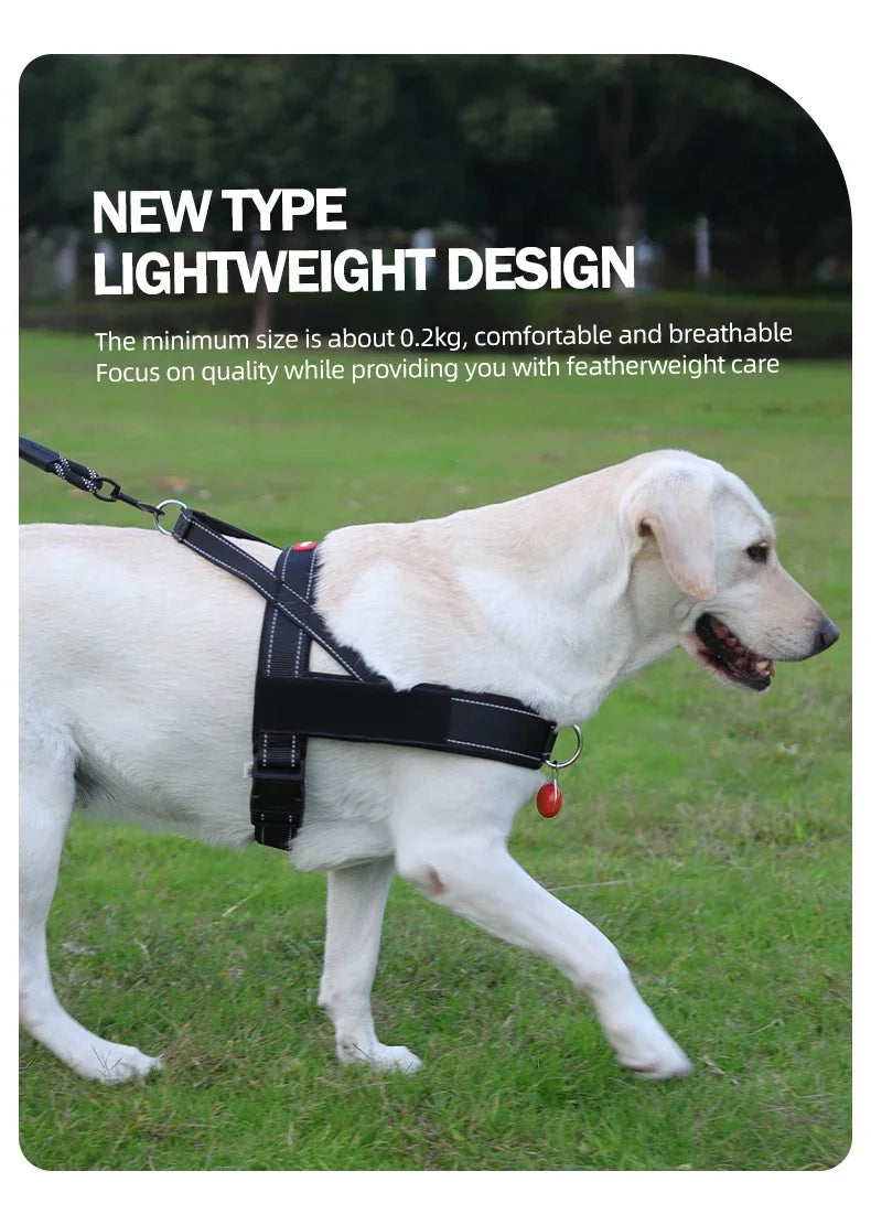 Harnais Gilet de Selle Léger et Réfléchissant pour Chien