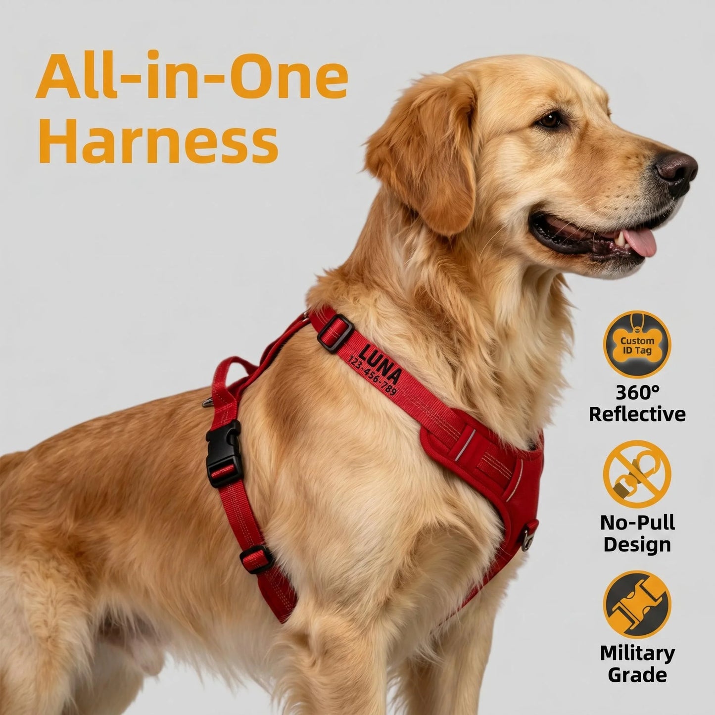Harnais Personnalisé 360° pour Grand Chien - Brodé, Réfléchissant