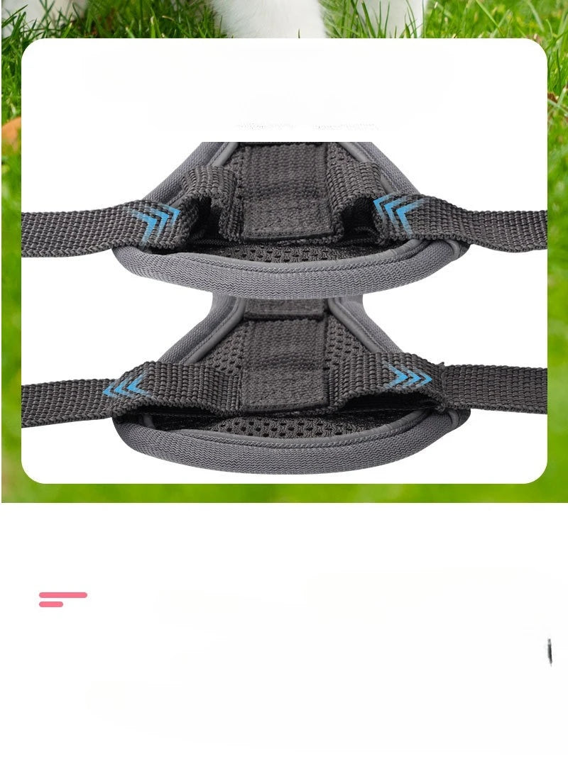 Ensemble Harnais et Laisse Sans Traction pour Petit Chien et Chat
