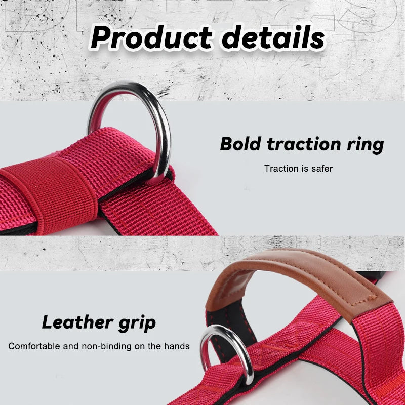 Harnais Anti-Traction Nylon pour Grand Chien - Entraînement