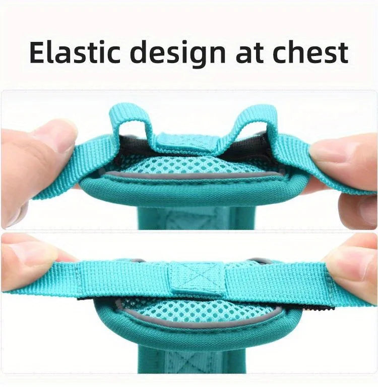Ensemble Harnais et Laisse Anti-Traction pour Petit Chien et Chat - Réfléchissant