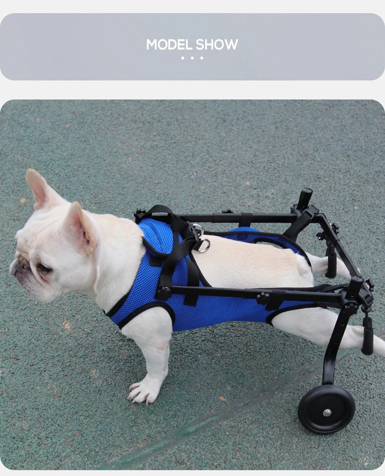 Harnais de Soutien Mobilité Réduite pour Chien - Rééducation